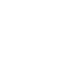 Flomax VB